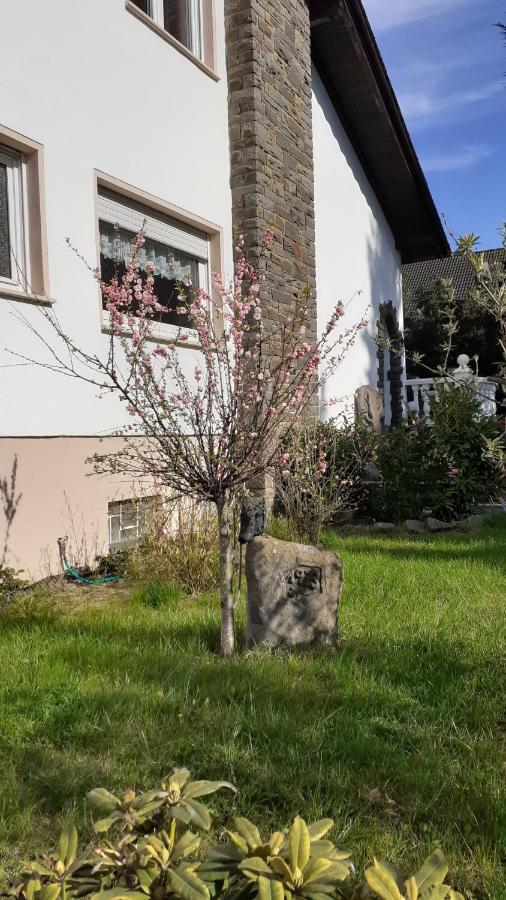 Im Vulkanland Fewo Bis 6 Personen Ettringen  Luaran gambar